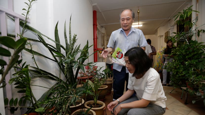 Sales of insect repellents spike in Bedok after Zika cases confirmed there