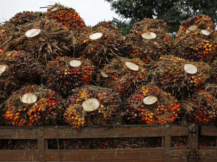 Felda turmoil fails to shake Umno