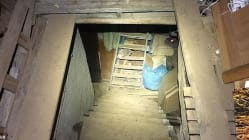 Related article image