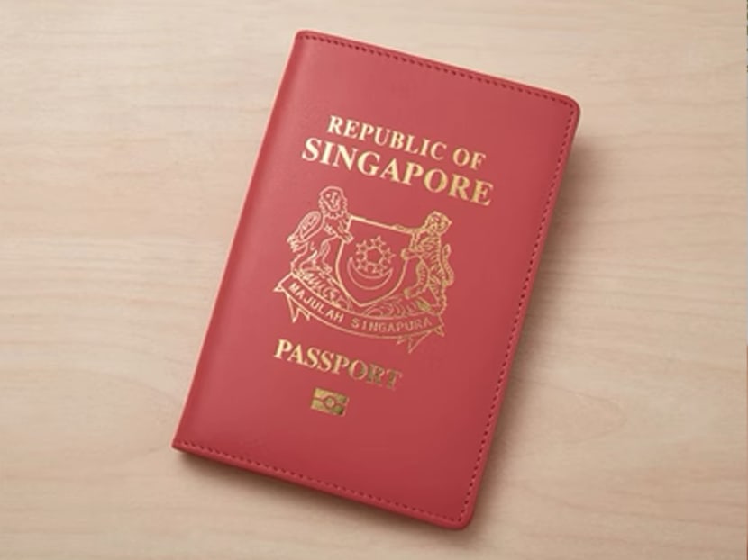 A passport cover sold on Taobao, modelled on the Singaporean passport that is currently the world's most powerful passport, based on the Henley Passport Index.