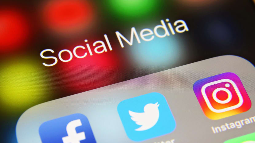 Mother and son investigated by police for allegedly uttering racial slur and vulgarities on social media