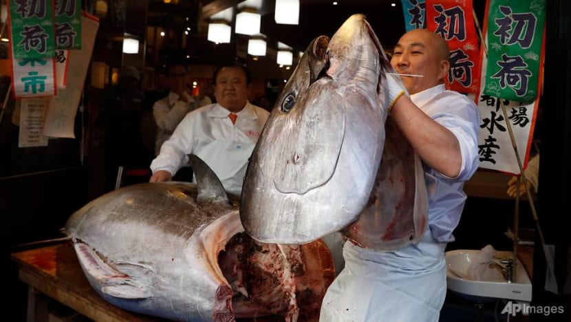 Bluefin tuna in focus as Japan seeks boost to catch limits 
