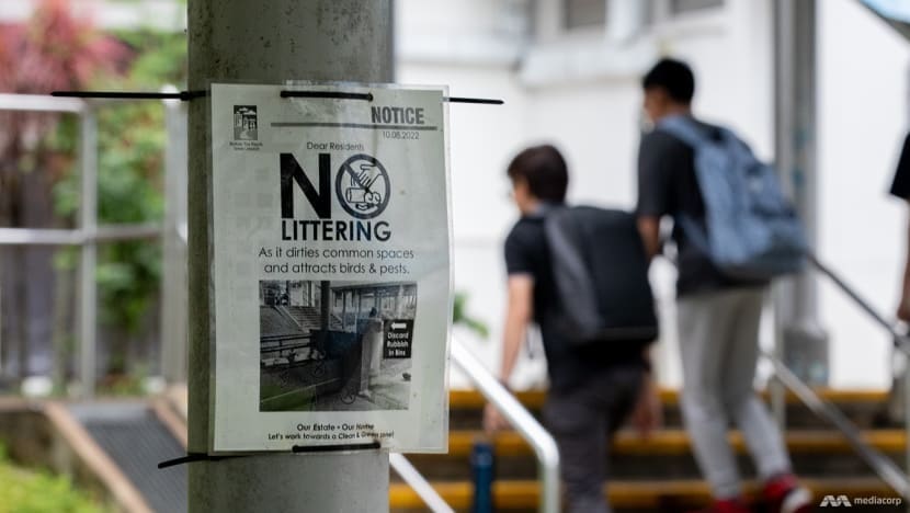 Commentary: Latest push to deter litterbugs doesn’t mean we should turn against each other Commentary: Latest push to deter litterbugs doesn’t mean we should turn against each other