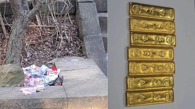 携金条与钞票夜宿公园 台失智翁遗落大批财物