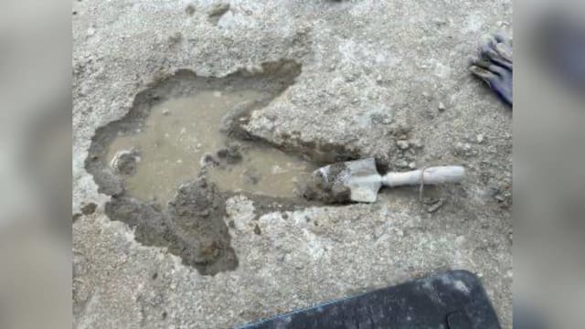英国石场发现数百恐龙脚印 距今约1.66亿年