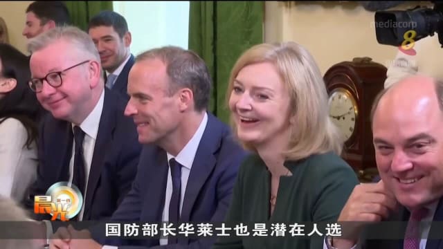 英国保守党拟展开闪电竞选 下周五选出新任领导人