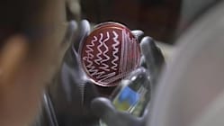 Related article image