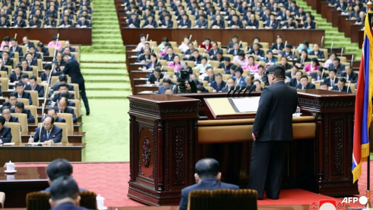 North Korea military official dumped from ruling party over graft
