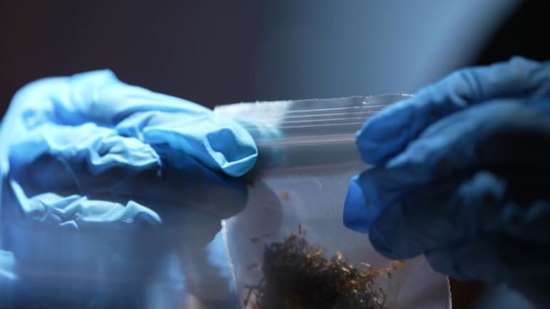 Drugs 2.0 - Part 1: Decoding Drug Dupes