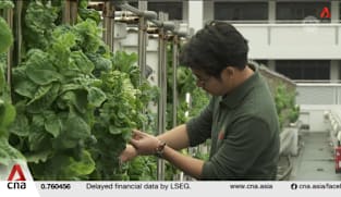 Some Singapore farms pivoting to new products that are cheaper than imports