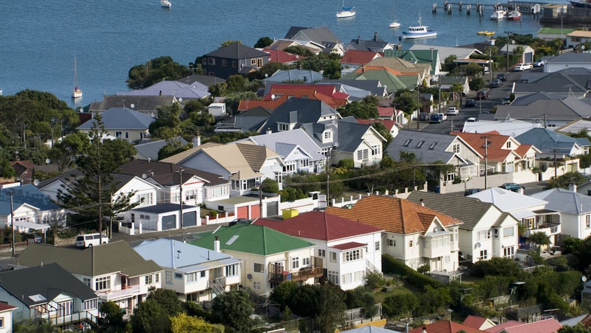New Zealand capital flooded with faeces after wastewater failure