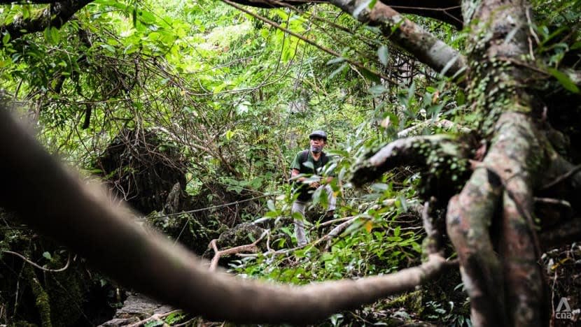 Usaha tergesa-gesa menggali nadir bumi di Asia Tenggara menambah bahaya kepada pembela alam sekitar: Laporan Usaha tergesa-gesa menggali nadir bumi di Asia Tenggara menambah bahaya kepada pembela alam sekitar: Laporan