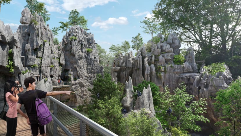 Adventure elements and new animals: Here's what to look out for when Singapore's latest wildlife park opens Adventure elements and new animals: Here's what to look out for when Singapore's latest wildlife park opens