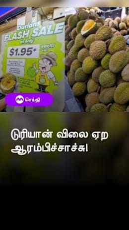 டுரியான் விலை ஏற