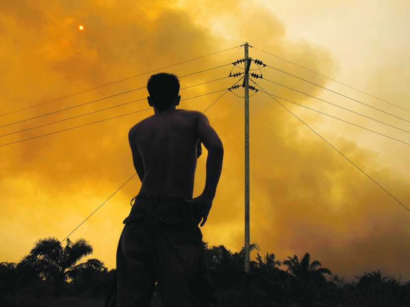 The NEA said the hot spot count in Sumatra rose to 281 on Tuesday, but since yesterday has decreased to 71, with 45 in South Sumatra and 11 in Riau. Photo: Reuters