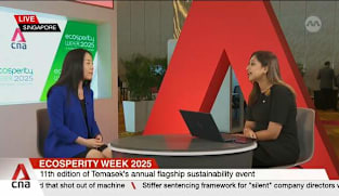 Asia's climate action must adopt a holistic and systemic strategy: Temasek 