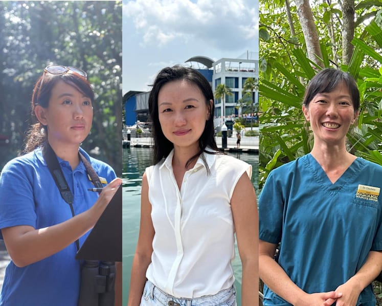 ‘It’s not all doom and gloom’: Meet the hopeful conservationists who show how anyone can protect our planet