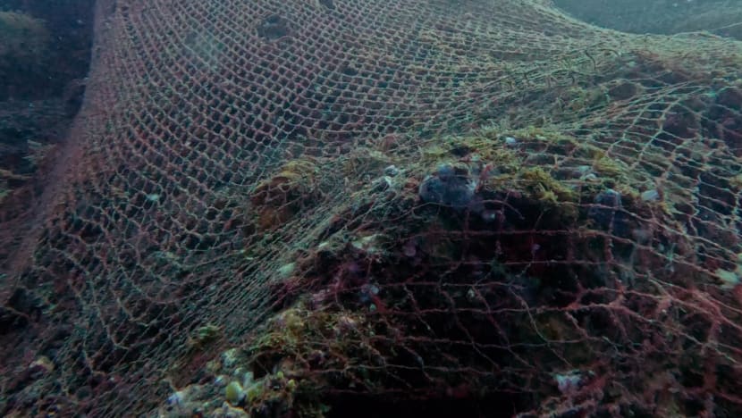 A diver walked into a Mexican restaurant. Now they're teaming up to clear discarded fishing nets in Bali waters