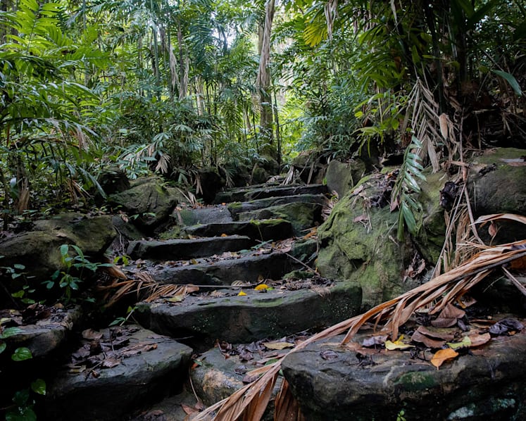 New Bukit Batok nature parks to raise ecological connectivity between Bukit Timah Nature Reserve and Tengah