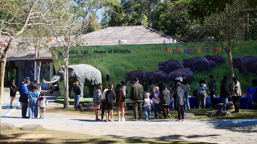 Elephant kills tourist at Thai national park; third fatality linked to same animal