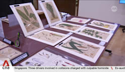Singapore Botanic Gardens on digitalization drive to expand its online database and herbarium  Singapore Botanic Gardens on digitalization drive to expand its online database and herbarium