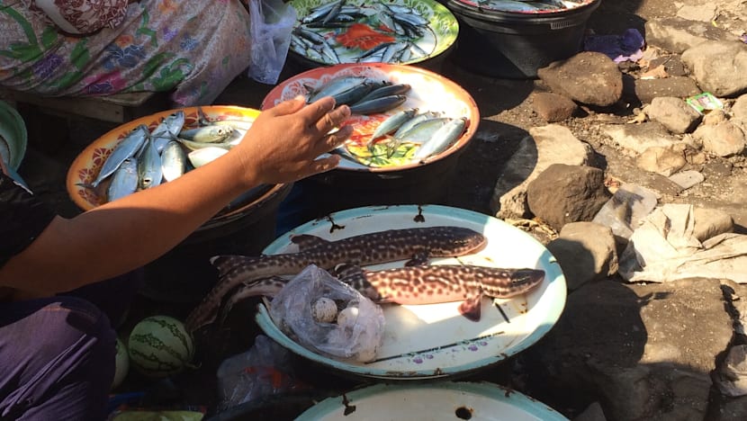 How one S’porean is caring for sharks by caring for fishermen