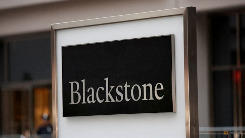 AI development is biggest economic growth driver, Blackstone says
