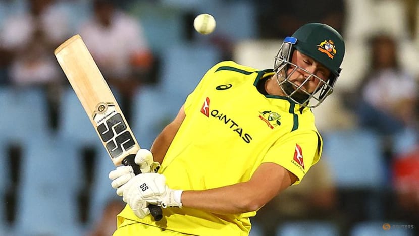 Coaches trust Australia's hard-hitters, says David