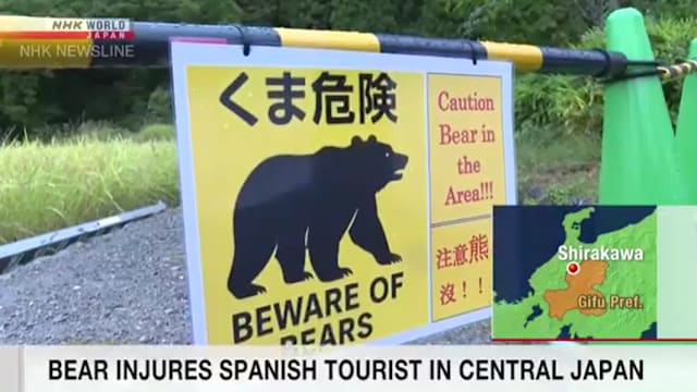 日本白川乡棕熊袭击旅客 40岁西班牙人受伤送医