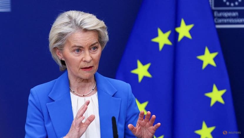 EU age verification app ready as Europe moves to curb children's social media access