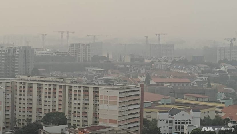 Understand the haze: What do Singapore's air quality readings mean and how do they differ from others? Understand the haze: What do Singapore's air quality readings mean and how do they differ from others?