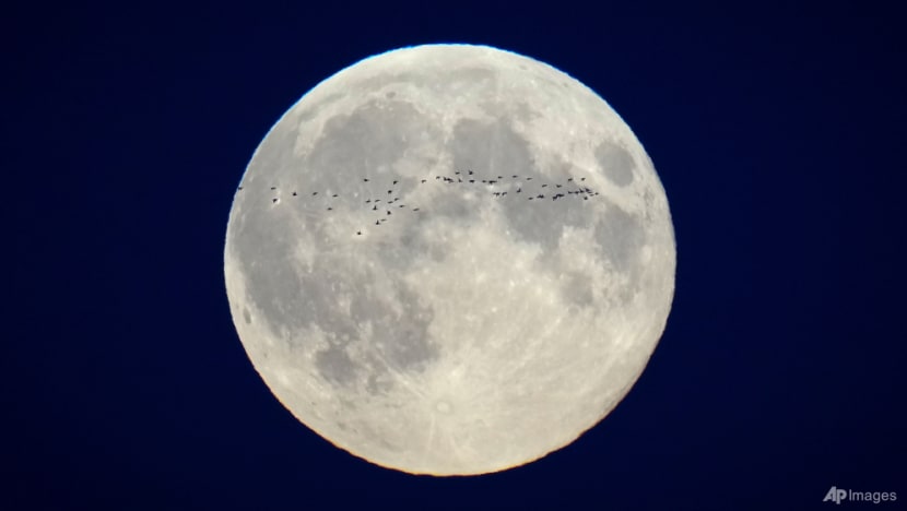 October's supermoon pairs with a comet for a special night-time spectacle October's supermoon pairs with a comet for a special night-time spectacle