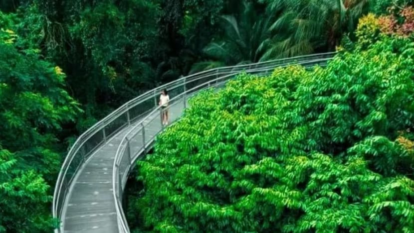 Parts of Telok Blangah Hill Park trails closed for repairs until 2026 following slope failure