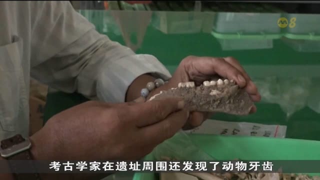 印尼现古老石器 显示人类在150万年前就曾在亚洲和澳洲之间的岛屿生活