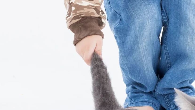 Kanak-kanak aniaya atau dera haiwan, adakah ia petanda sesuatu yang lebih membimbangkan?