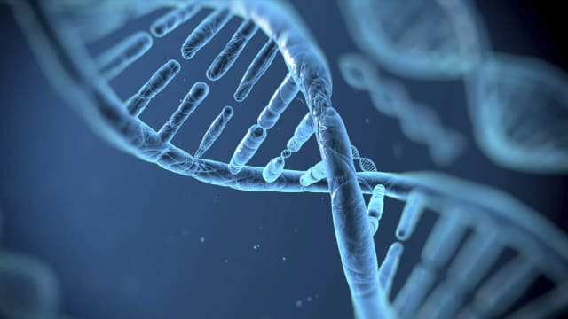 理解问答：警方将扩大DNA数据库　你能拒绝吗？