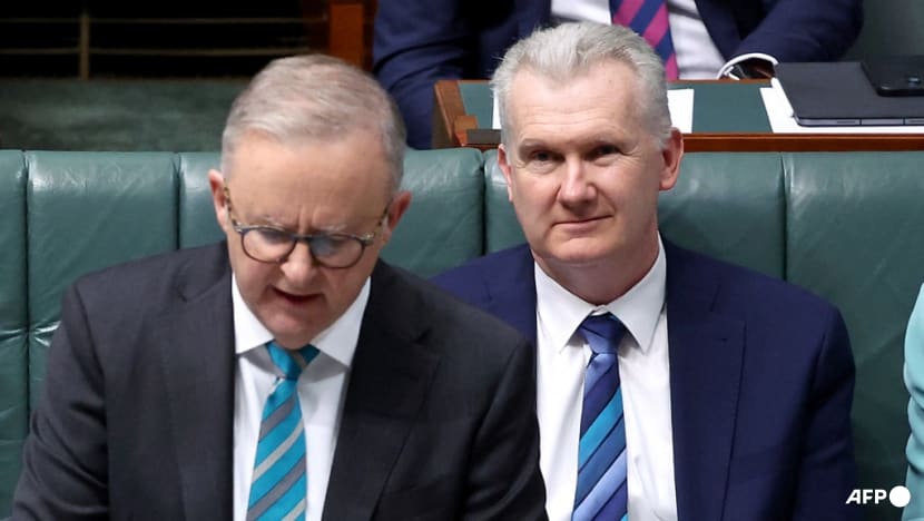 Australia lashes Netanyahu over 'weak' leader outburst