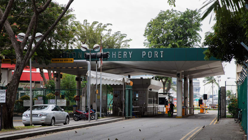 117 new locally transmitted Covid-19 cases in Singapore, including 46 linked to Jurong Fishery Port cluster and 5 traced to KTV clubs