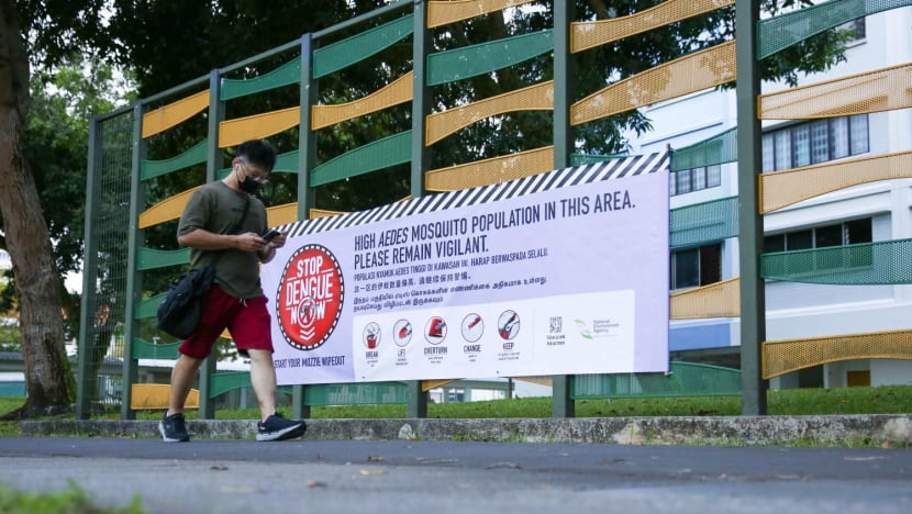 Weekly dengue case numbers still high despite fall from May peak; annual total set to reach close to 2020 record