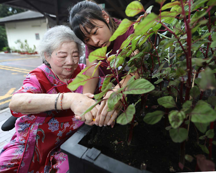 The gardens at Alexandra Hospital that helped two women regain their mental and physical strength