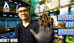 Money Mind 2026 - Spinning Profits