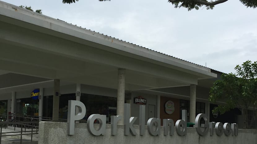 Parkland Green tenants bemoan lost business after severe power outage