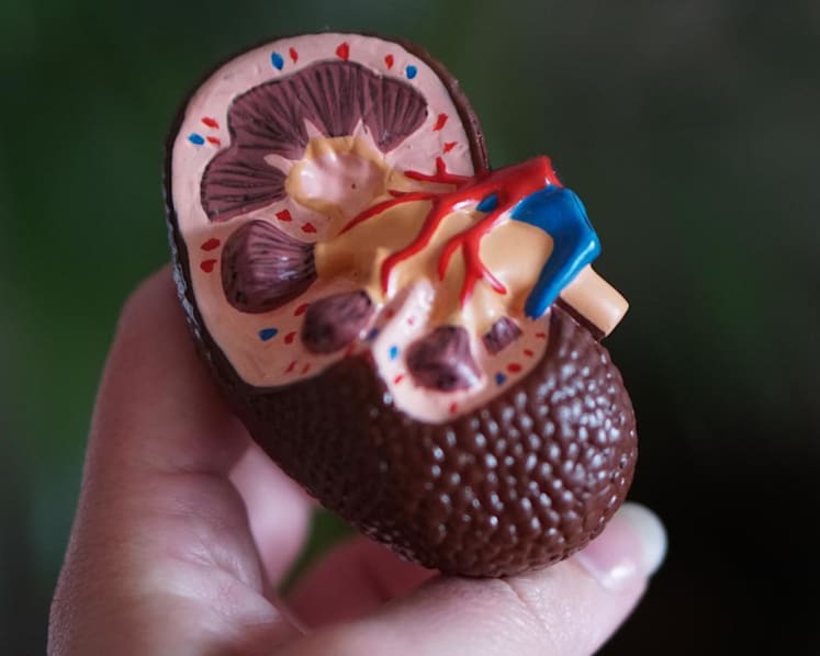 Commentary: 'Kidney tsunami' looming large — why even the young should take action now