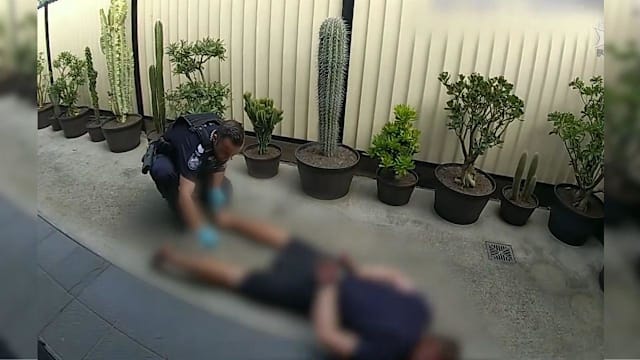 逃跑时跌入仙人掌 偷车少年满腿是刺被捕