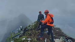 Related article image