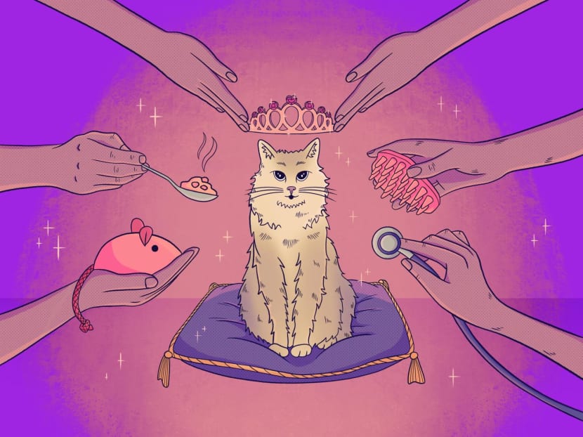 The Big Read in short: When pets are no longer just pets The Big Read in short: When pets are no longer just pets