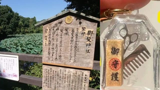 怕秃头的朋友　来京都这家“奇葩”神社就对了！