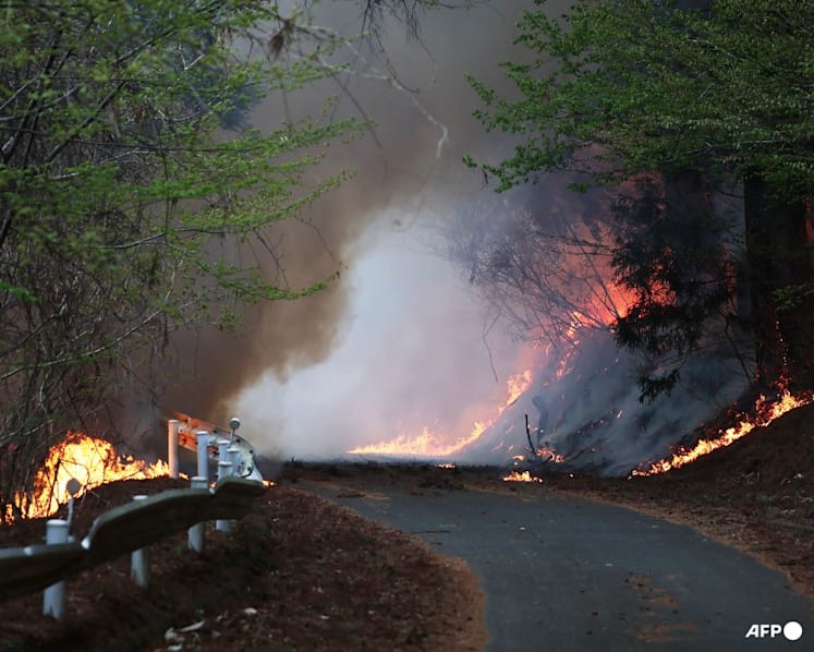 Wildfires spread towards northern Japan town