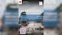 Related article image