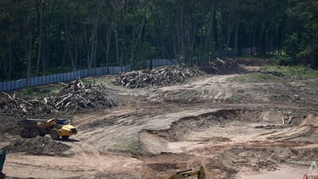 涉非法清除克兰芝林地 公司副总裁被罚款2万6000元